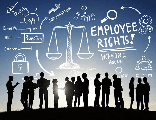 Service, Labour & Industrial Laws Cases - Legal Services